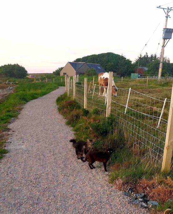 Isla'S Cottage ストーノウェー エクステリア 写真